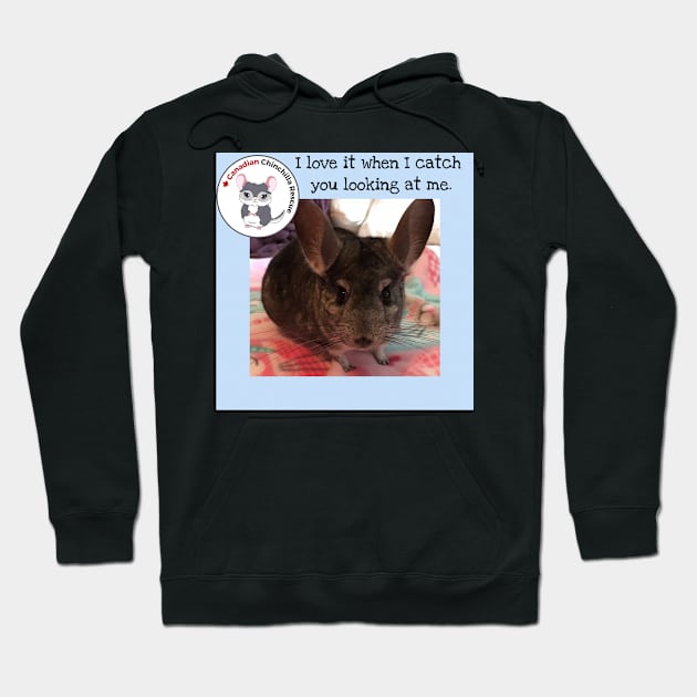Chinchilla Love Hoodie by canchinrescue
